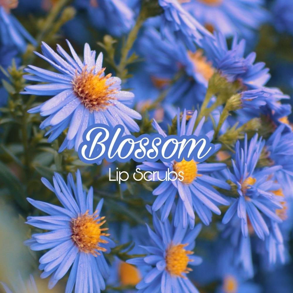 Any flavor lip scrub(s)! Full Size! Check desc.